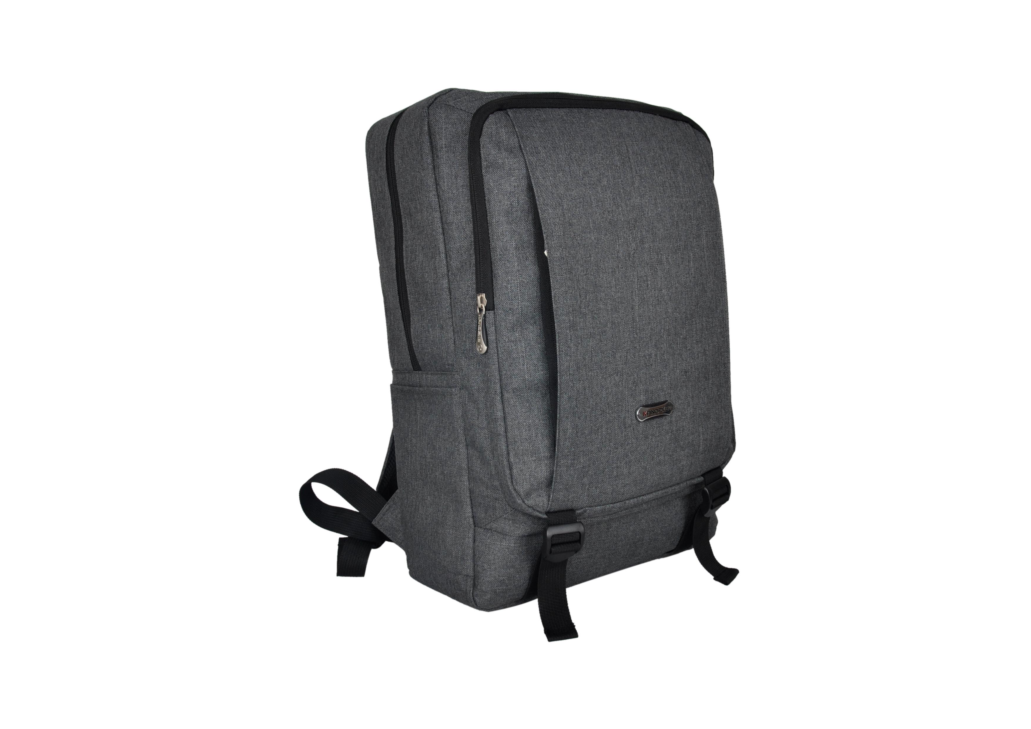leisure laptop backpack