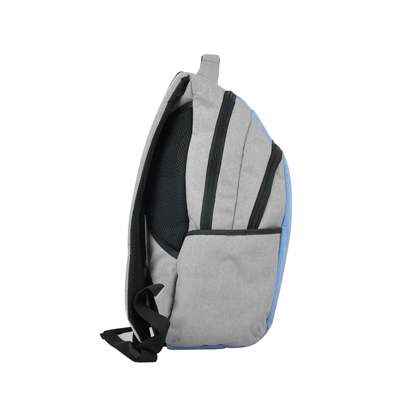 professional laptop backpack